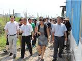 王忠秀督察龙金大道沿线违章建筑拆除工作