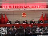 龙港召开小微企业安全生产标准化创建推进大会