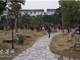 喜迎三八妇女节“巾帼志愿者”在行动