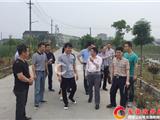 苏庆明来龙港新城社区夏口徐村调研