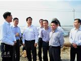 温州市委副书记、代市长陈金彪一行来龙港视察