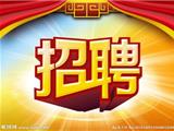 关于公开招聘龙港镇第四次经济普查临时工作人员的通告