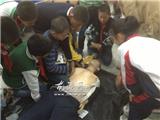 壹次心进龙港湖前中心小学开展应急救护培训