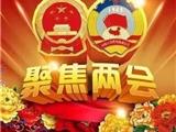 龙港市首届人大、政府、政协领导班子集体亮相