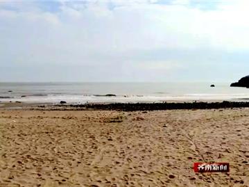 苍南炎亭镇：狠抓海口景区整改 谋划下步开发建设