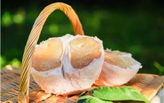 马站四季柚，开摘！错过等一年！~