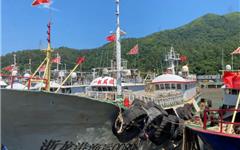 8月5日！龙港135艘渔船整装待发