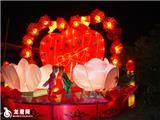 魅力龙港，快乐灯节——彩灯展9