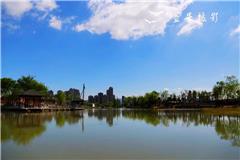 今天，龙港的蓝天白云再次刷爆朋友圈。大家纷纷拿起手机拍下蓝天美景，发出声声赞叹：龙港美爆了！摄影：王益号