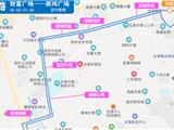 龙港财富夜间公交专线优化调整【二】