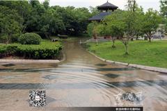 在龙港的西三街、西六街、西城路等街道也纷纷开启了“看海”模式，行人车辆“海中”前行，积水严重。