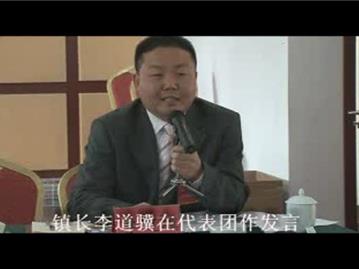 镇长李道骥在代表团作发言