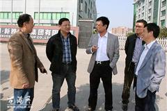 丁书记督查新雅集团工程