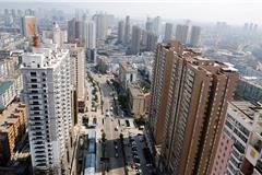 龙港航拍图集  来源：龙港网