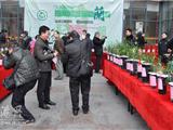 苍南县首届春兰展在龙港举办 今起迎客