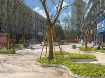 龙港市龙跃路步行街改造提升工程将于9月10日前完工
