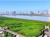 龙平苍一体化，呼吁市域铁路S3线二期工程尽快动工