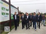 省政协副主席郑继伟来龙港调研农村文化体育建设情况