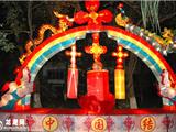 魅力龙港，快乐灯节——彩灯展6