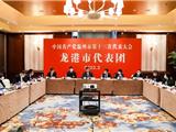 张振丰参加温州市党代会龙港市代表团分组审议：主动融入市域一体化发展 担当实干走好新的赶考路