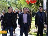 林森森到龙港调研文化礼堂建设工作