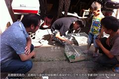 今天上午，龙港镇李家垟村民李绍国给本网24小时热线打来电话称：“5天前，在自家门前田里捡到一只受伤的动物夜舅，现在已经基本恢复正常，请派人过来，送到动物园或动物救助站里去”。本网编辑立即联系了温州市绿眼睛环境保护中心主任方明和，该中心派出工作人员在龙港党政办工作人员陪同下一起来到李绍国家中救助浙江省重点野生保护动物--夜舅，并给李绍国颁发了野生动物救助证书。