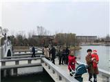 正月初一逛龙港城市公园 热热闹闹过新年