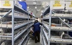 龙港1～2月规上工业增加值增速居温州第一