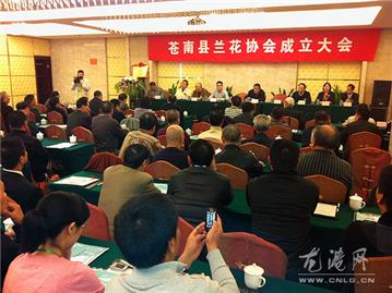 苍南县兰花协会在龙港成立