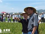 邵占维考察龙港“三夏”工作