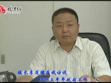 镇长李道骥在线访谈--2008年上半年政府工作报告