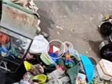 后续：从脏乱差到整洁美，一场发生在金港华庭的环保奇迹！