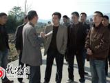 大麦种子播下田，期盼来年好丰收