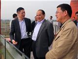 全国政协副主席阿不来提视察龙港新城