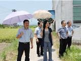 丁振俊到湖前、凤江社区督查工作