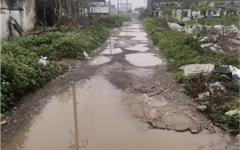 龙港旧貌换新颜，这条破路如今好走多了！