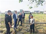 捷报！龙港村社优化调整 141个涉调村全部通过决议