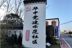  位于龙港市芦浦社区的华中党建示范社区有着整洁清爽的街道，道路旁种着郁郁葱葱的大小绿植；村落皆沿河而建，又以大大小小的桥梁连接，互通有无；随处可见河网密布，水系纵横，大小河道宛如一条条绿色绸带与古朴的民居相映成趣。开阔的河面上，河水在微风徐徐下碧波荡漾，一派江南水乡风貌。