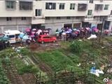 昨天是“六一”儿童节  这位小女孩意外的“走”了