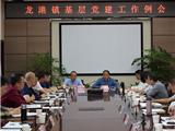 龙港镇召开基层党建工作例会