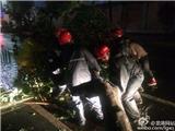 “苏迪罗”来袭 东海救援抗台在最前线