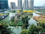 关注民生：龙港城区惟一一块‘绿肺’ 龙港城市公园二期建设 计划11月底开始实施