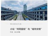 小议“共同富裕”与“城市文明”