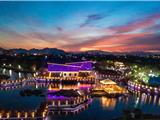 图集 | 龙之美 港之夜