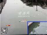 港河路桥头河水垃圾漂浮物多：请帮我保持河道干净