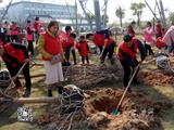 春来正是造林时 龙港群团携手共栽新绿