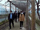 整治和监管并举 推进美丽田园创建活动