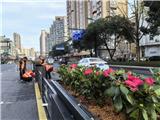 元旦前全面完工！龙港市瓯南大桥入城口改造提升工程进度上新→