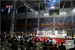 征武天下之-龙城英雄职业功夫联赛昨天晚上7点在龙港体育馆举办，本次赛事由武诀体育产业公司主办；镇领导章定宇出席。