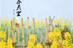 龙港外滩《春天里》——摄影董学风